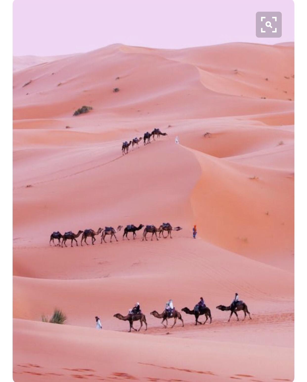 The Sahara Desert inspo for the Sand Scarf